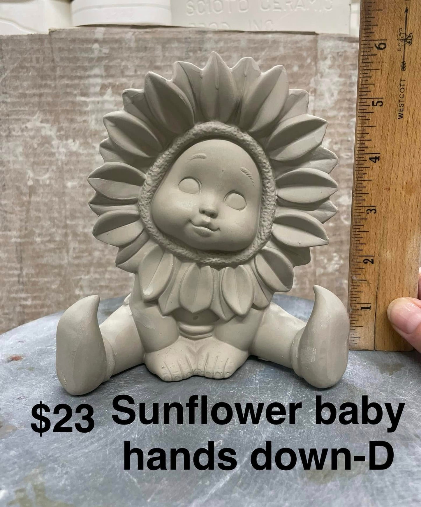 SUNFLOWER BABY HANDS DOWN -( D) $23