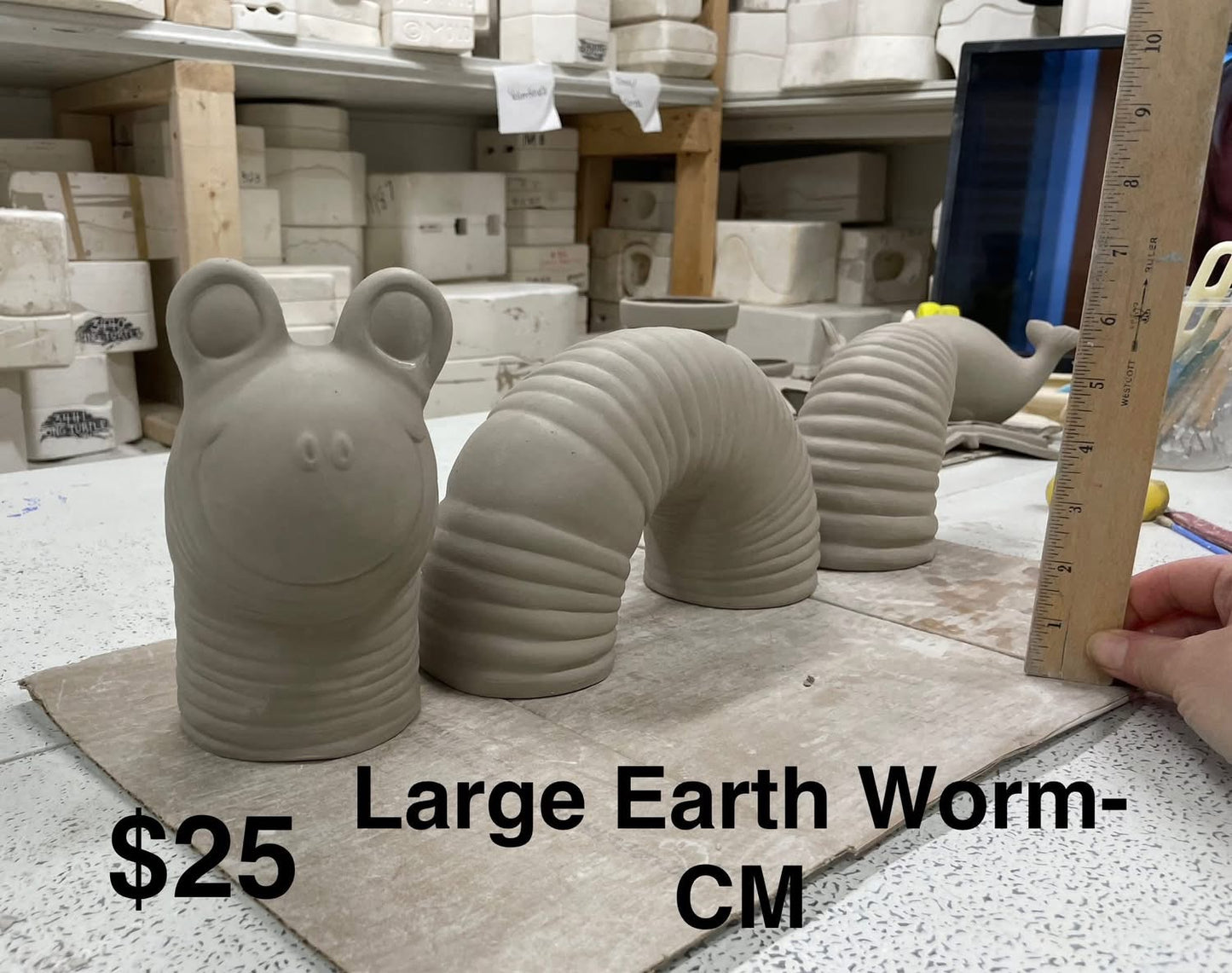 GARDEN WORM ( 3 piece) -(cm)-$25