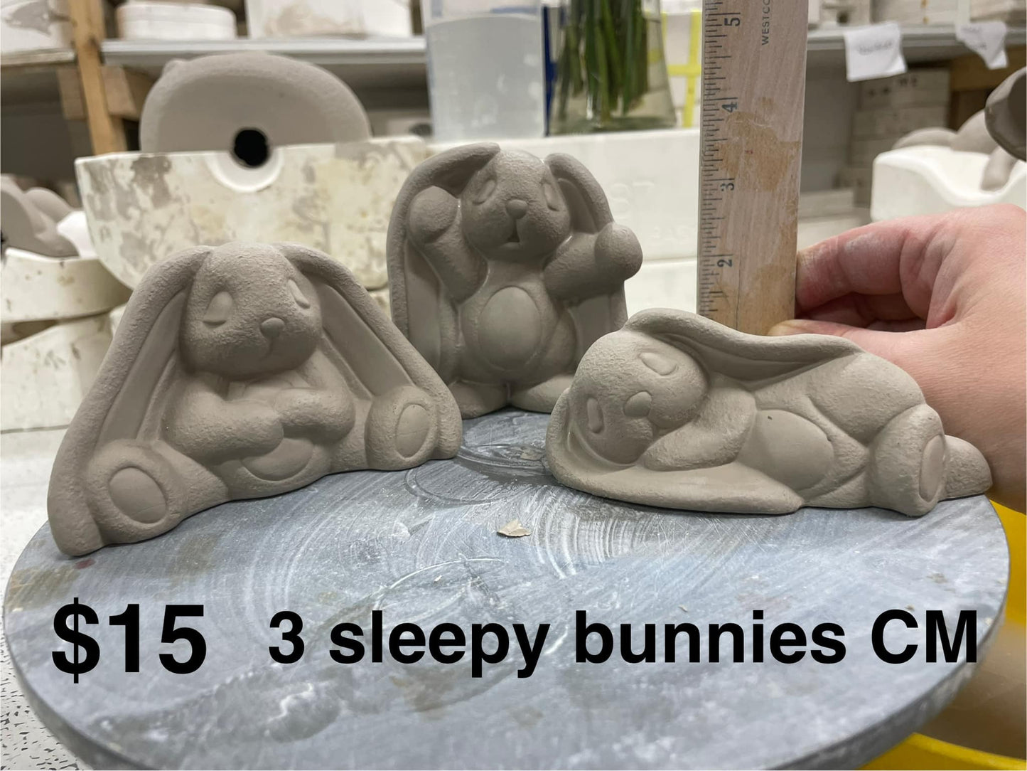 SLEEPY BUNNIES SET OF 3- ( CM)   - $15