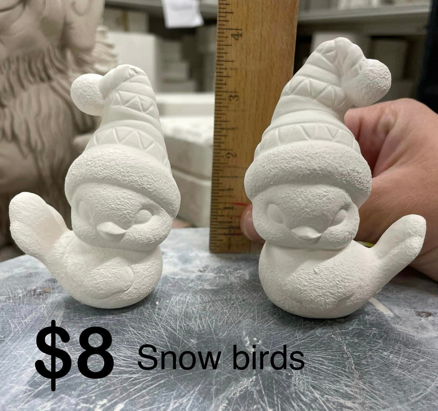 SNOW BIRDS SET OF 2 -$8 -