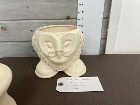 Owl planter w/ Sneakers