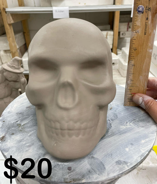 SKULL- FULL SKULL -$20