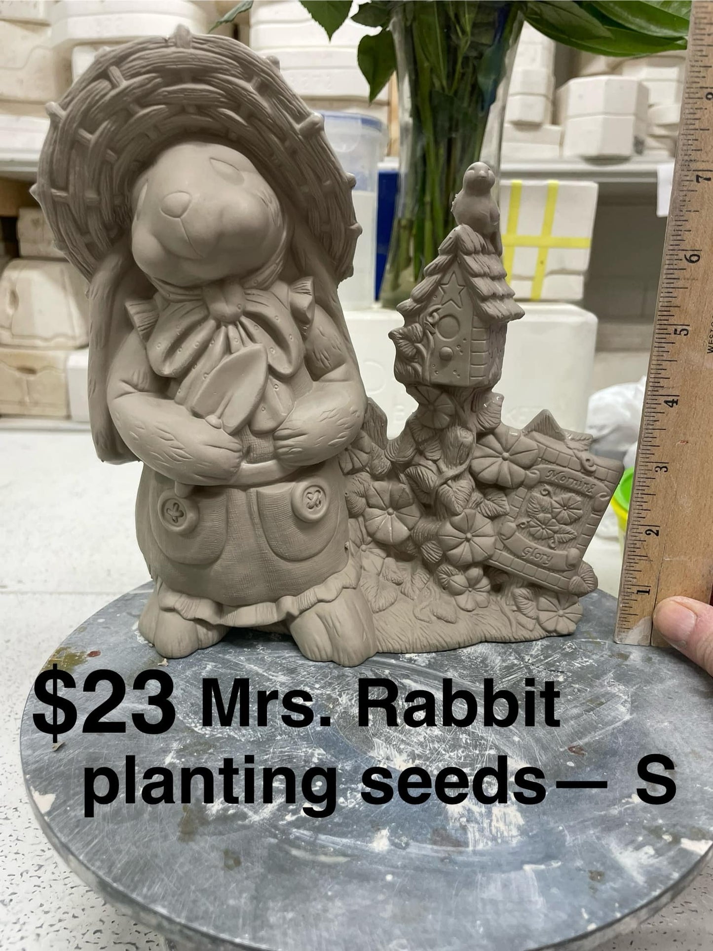 MRS RABBIT PLANTING SEEDS - ( S )-$ 23