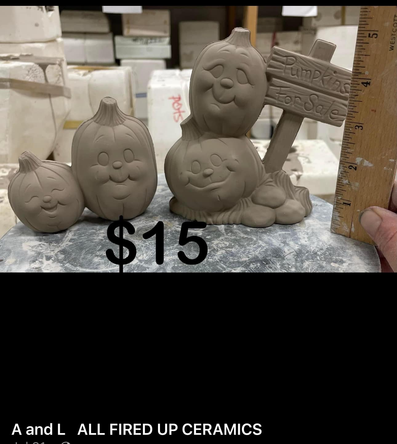 PUMPKINS FOR SALE - SET OF 2  - $15