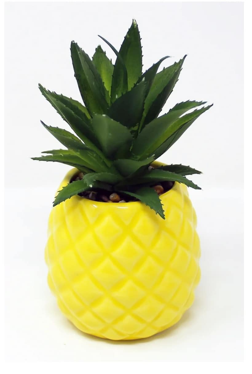 PINEAPPLE PLANTER-$25