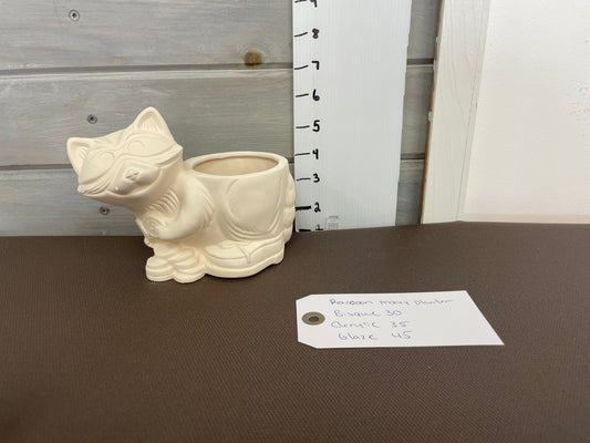 Raccoon money planter