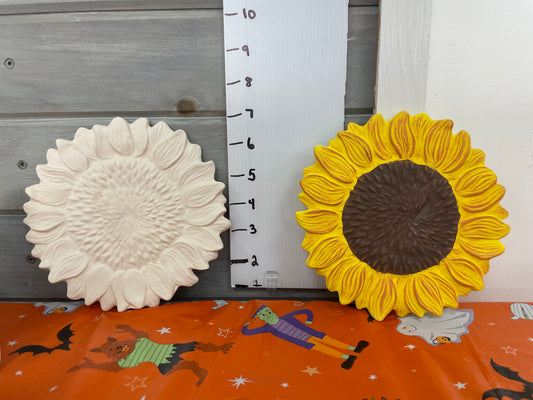 Adult Class Dry Brushing October 18th 11:30 am