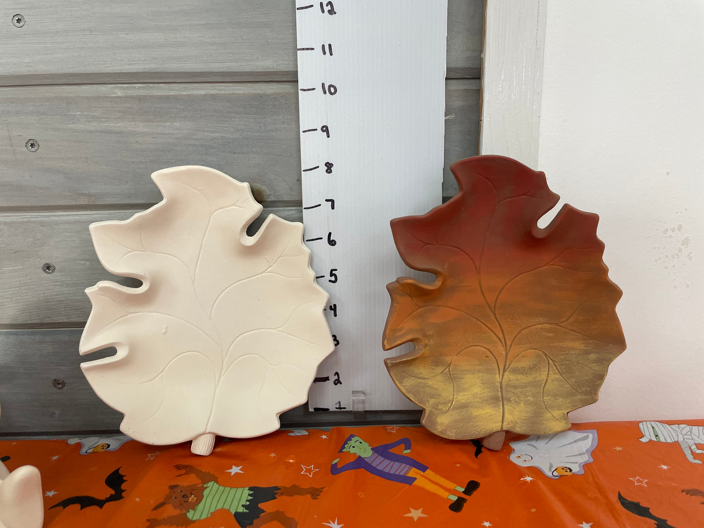 Adult Class Dry Brushing October 18th 11:30 am