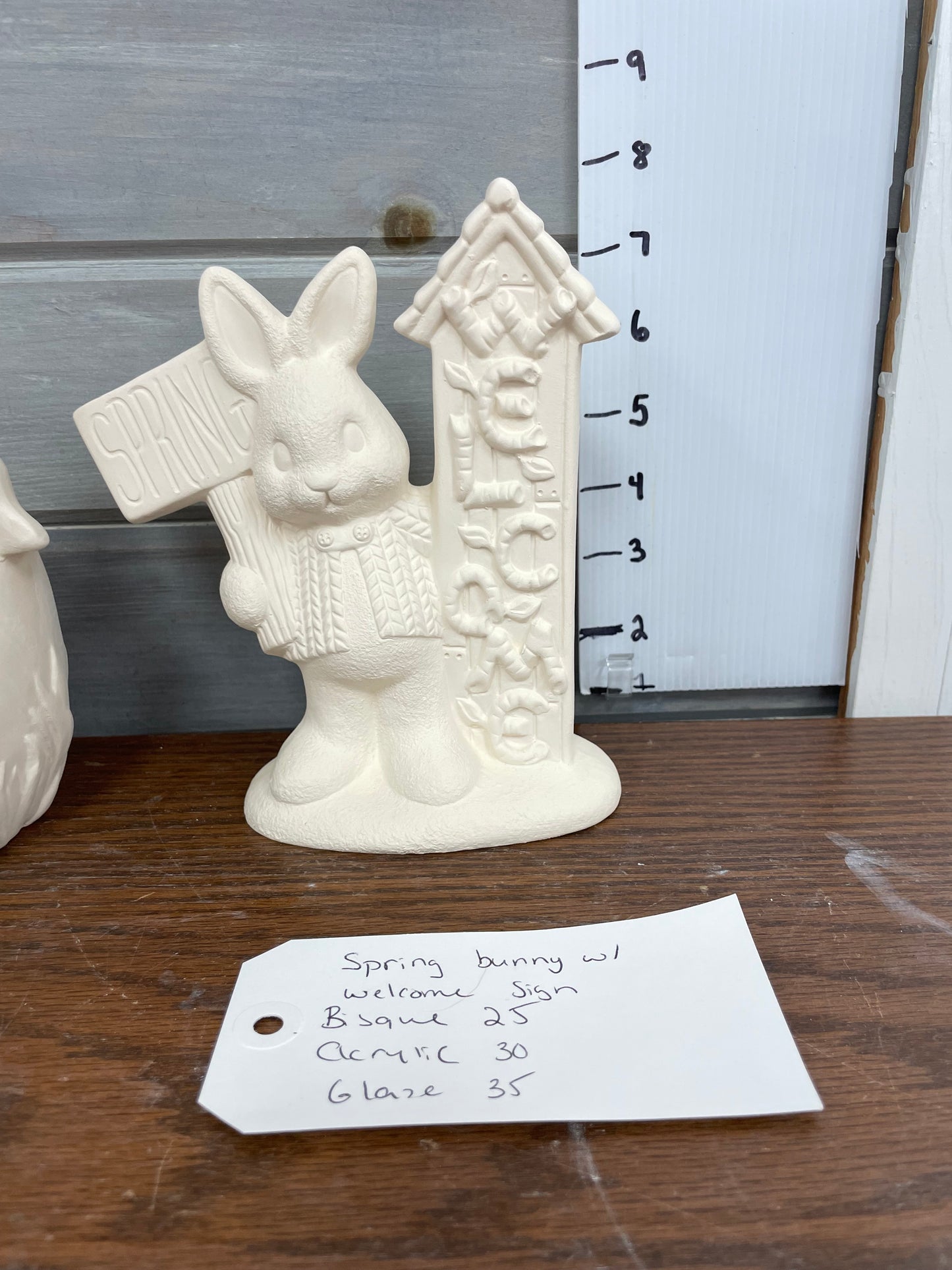 Spring bunny w/ welcome sign