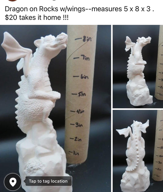 DRAGON ON ROCKS -$20