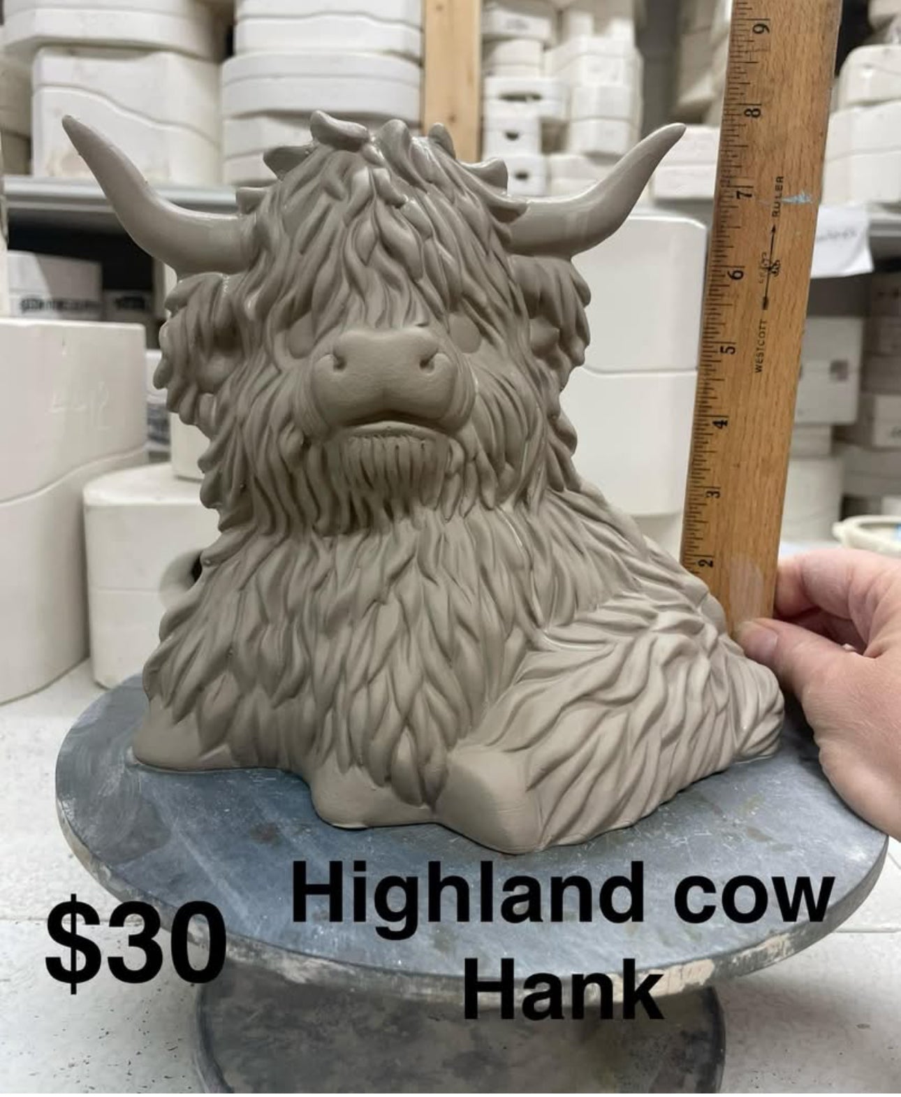 Hank the Highlander Cow- $30