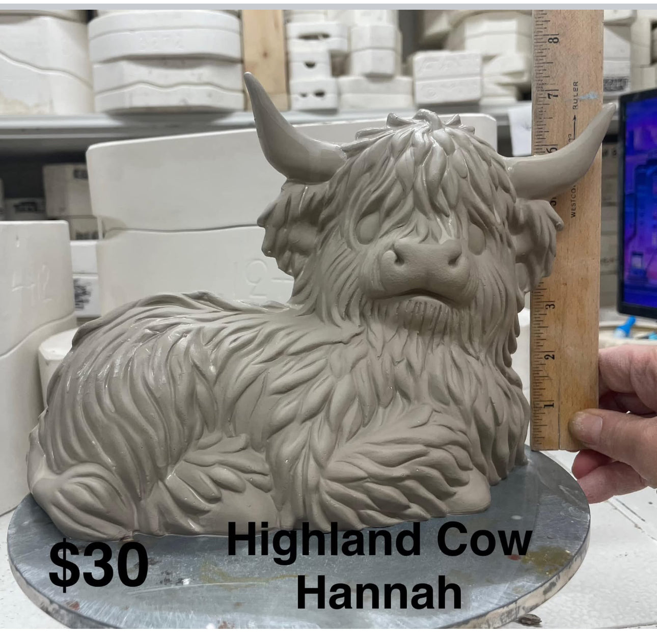 Hannah the Highlander Cow- $30