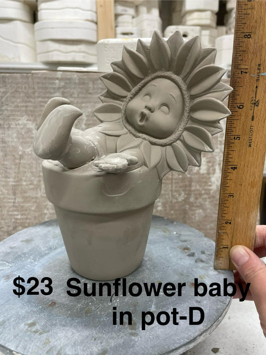 SUNFLOWER BABY IN POT  -( D)  $23