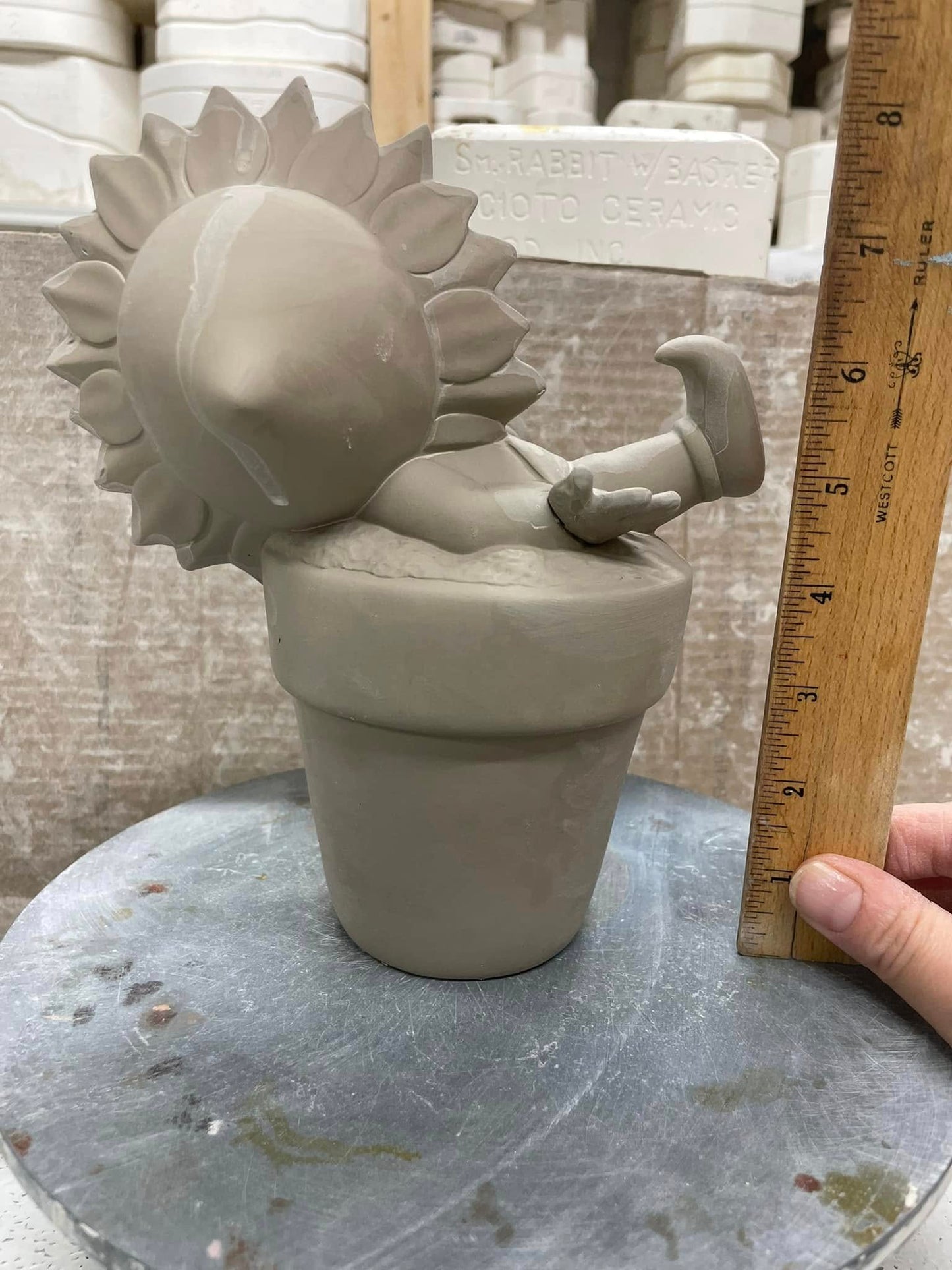 SUNFLOWER BABY IN POT  -( D)  $23